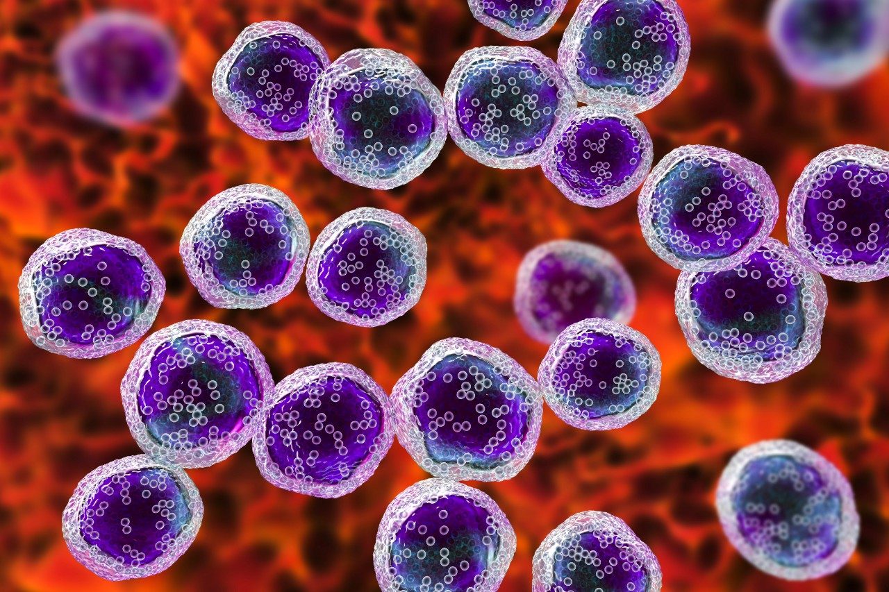 Lymphoma & Myeloma